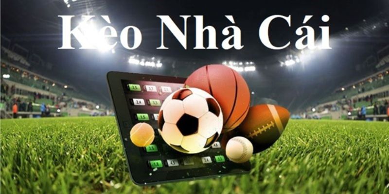 Cung cấp nhiều kèo cược chỉ có tại Neo79 